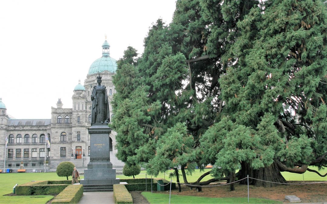 Top 5 Things You Must Eat & Drink In Victoria