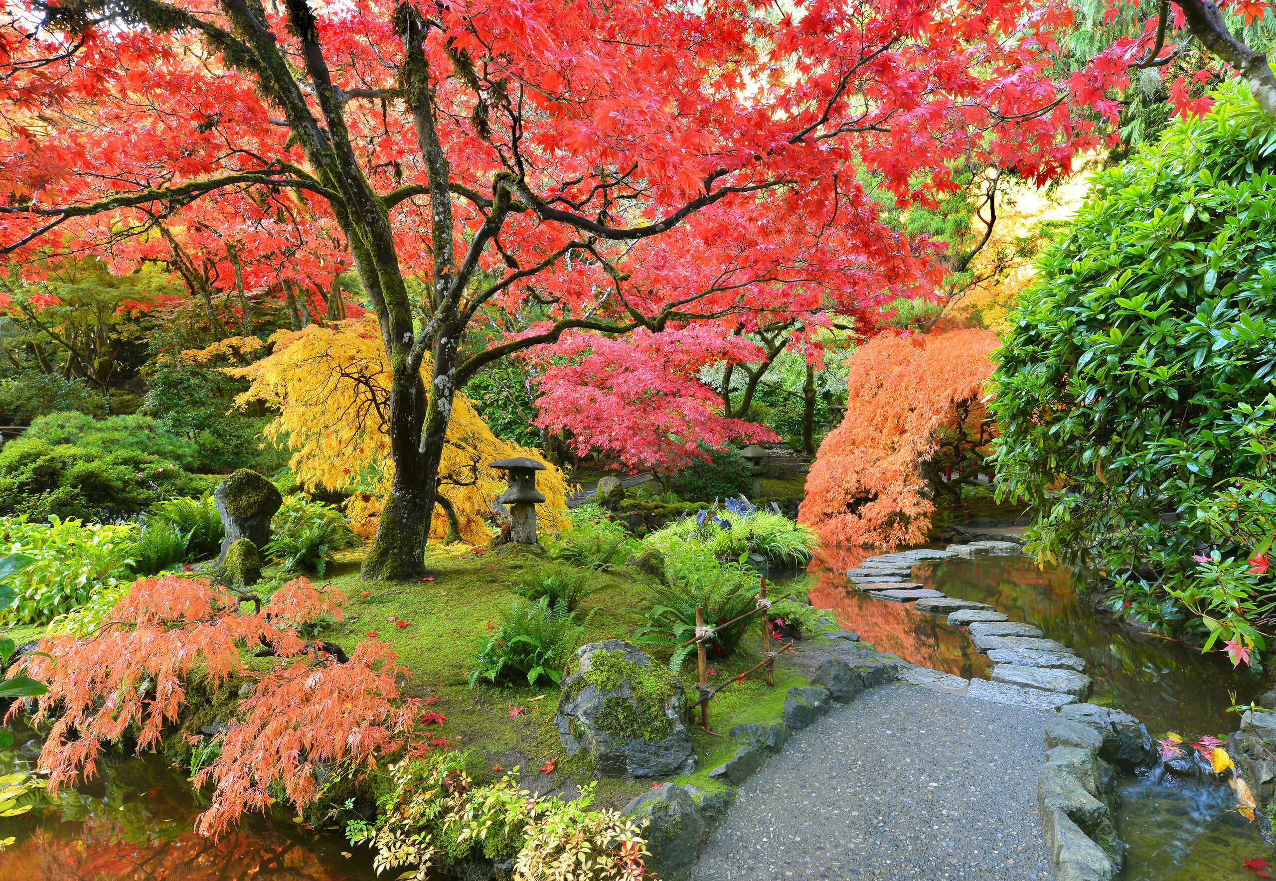 butchart gardens in fall