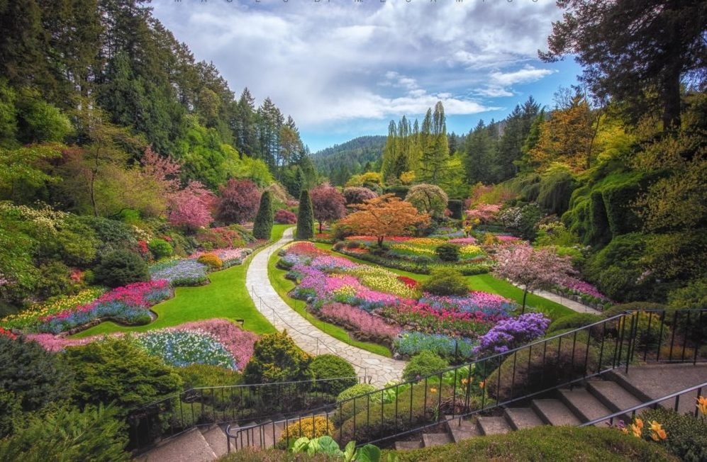 butchart Butchart Gardens