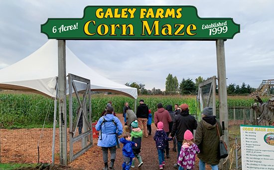 galey farms