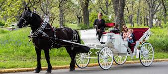 horse carriage tours