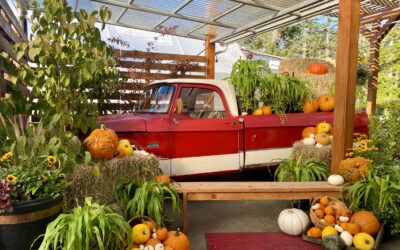 Victoria Fall Event & Activity Guide 2025