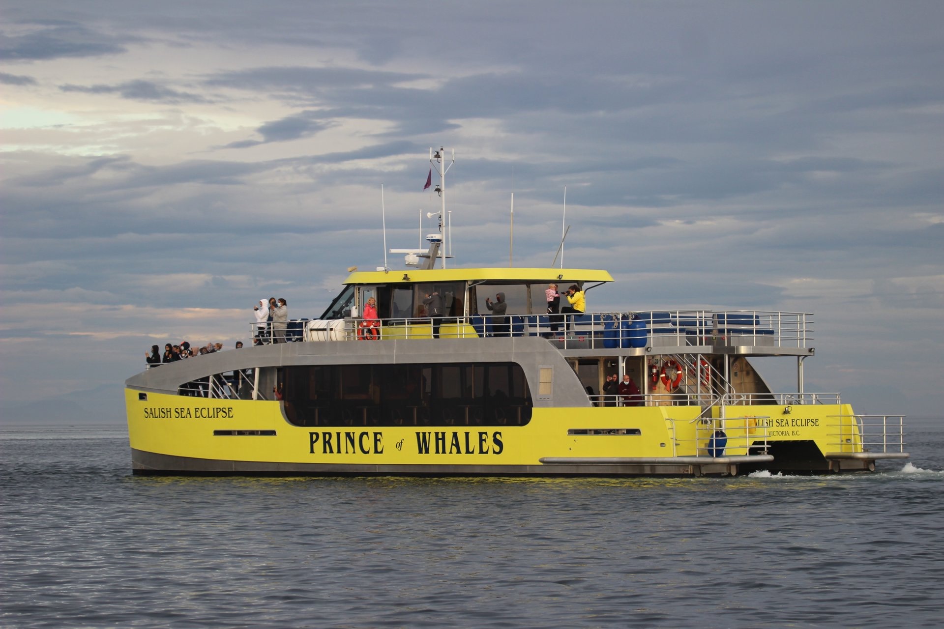 Prince of whales whale watching