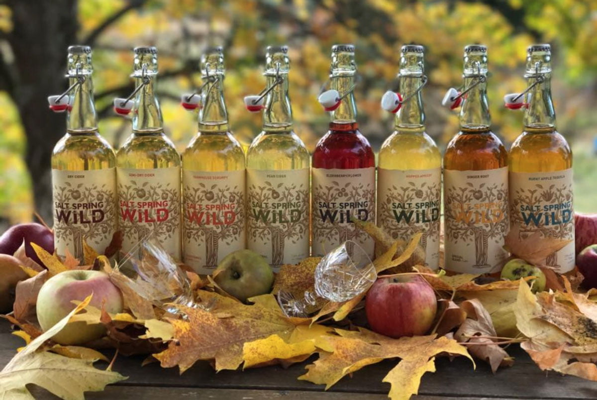 salt spring cider
